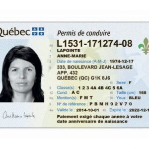 Canadian driver's licence